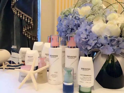 美國蓓麗雅護膚品 產品展示與店鋪裝修視覺指南